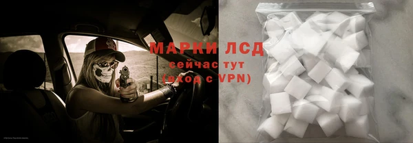 твердый Лагань
