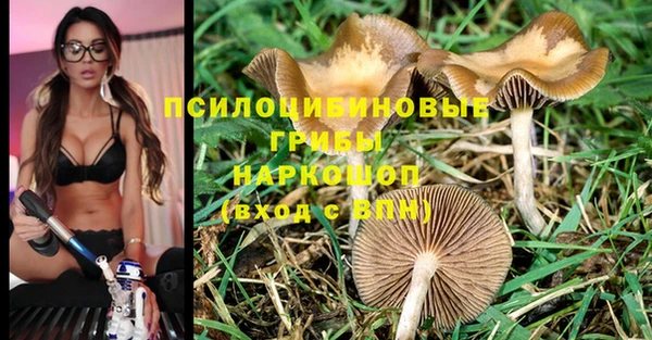 прущий лед Куйбышев