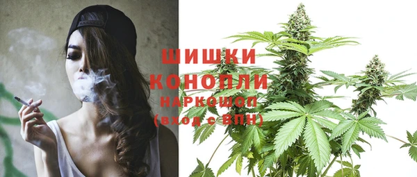 твердый Лагань