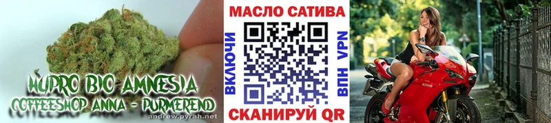 где купить наркоту  Малгобек  ТГК THC oil 