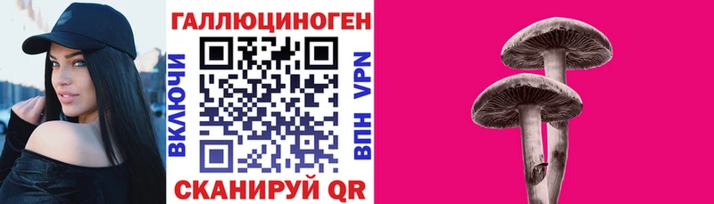 ссылка на мегу зеркало  Малгобек  Галлюциногенные грибы MAGIC MUSHROOMS 