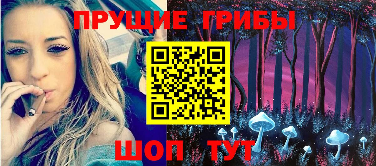 Малгобек  Псилоцибиновые грибы ЛСД  Вход с VPN 