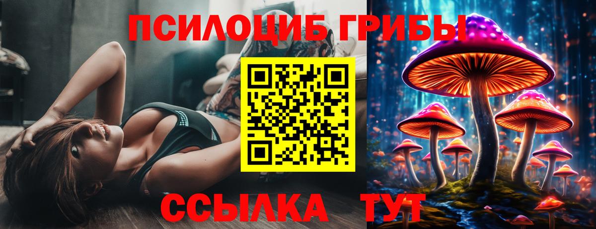 Псилоцибиновые грибы прущие грибы Малгобек